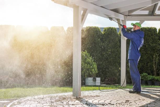 Best Roof Cleaning and Mildew Removal in Pelican Bay, TX